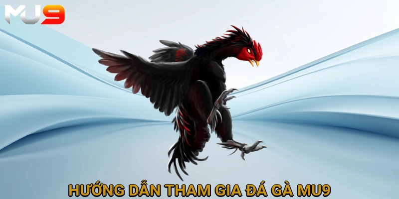 huong-dan-tham-gia-da-ga-mu9