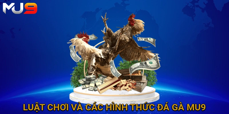 luat-choi-va-cac-hinh-thuc-da-ga-mu9